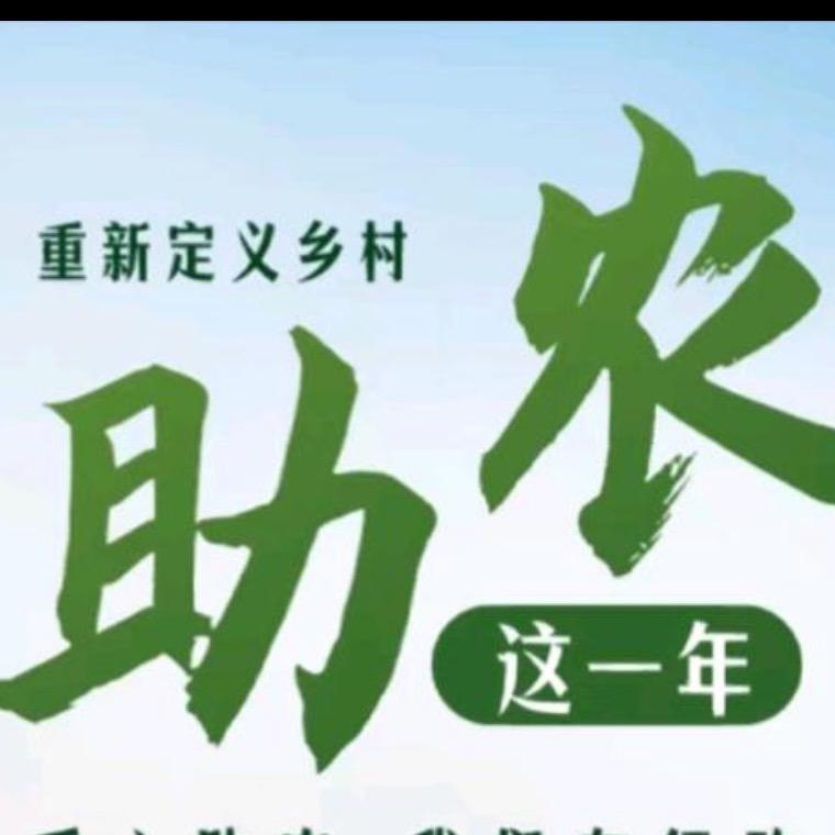 助农大队