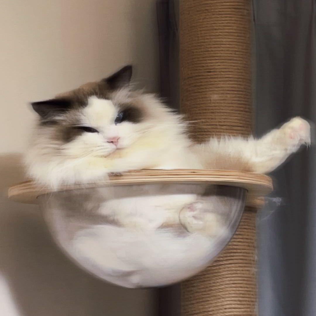 今天你艺术了吗