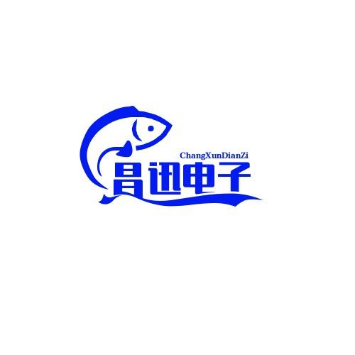 昌迅电子科技