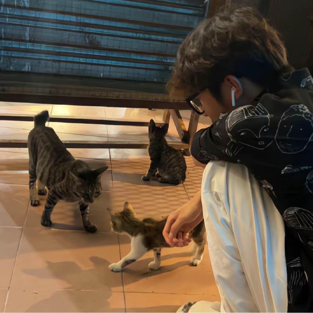 陈寻。