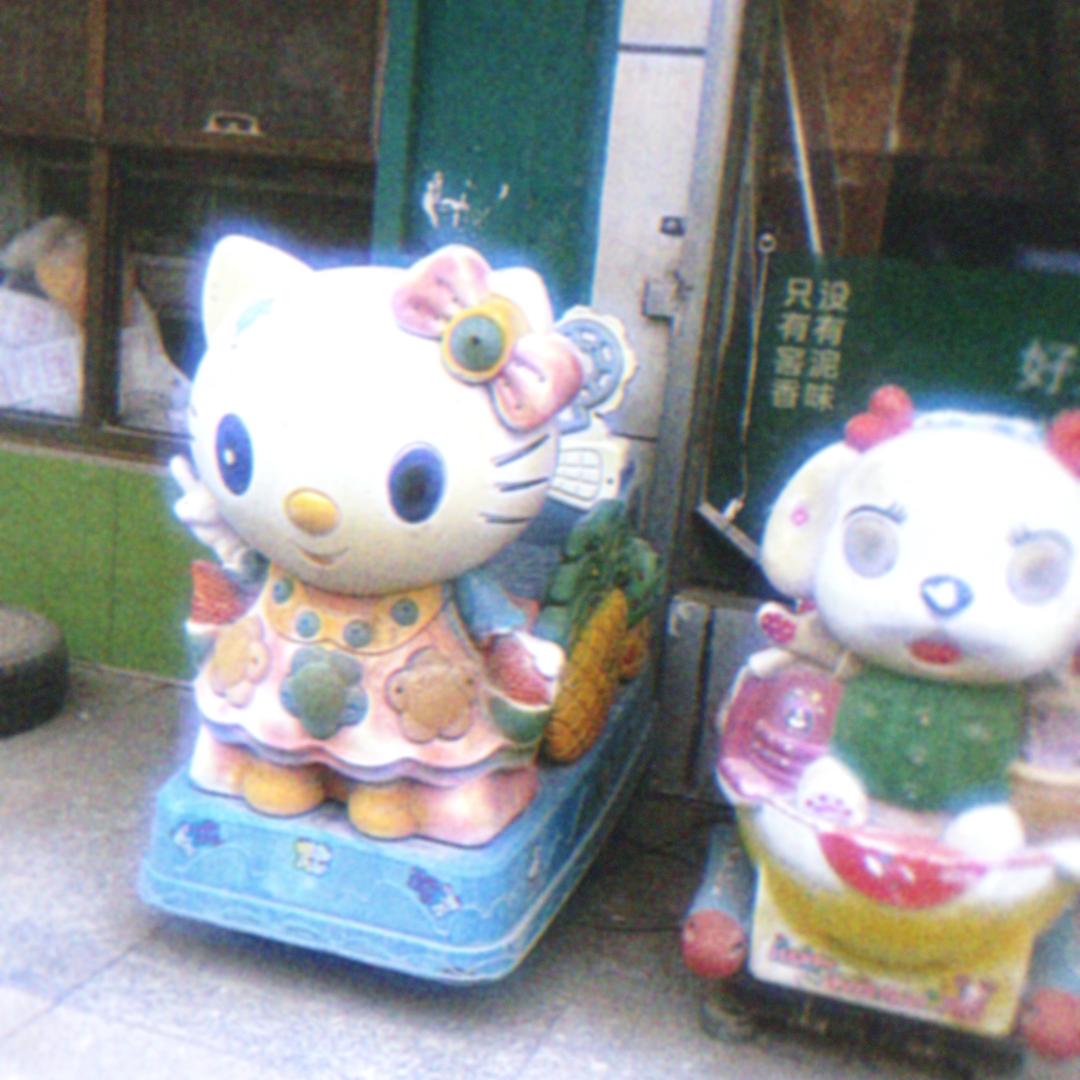 序恋蝶