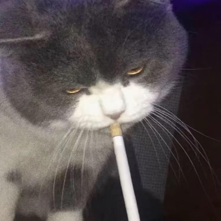 李梓源