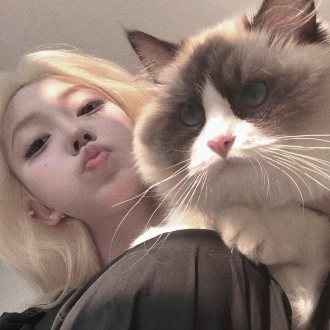 米朵妈分享好物