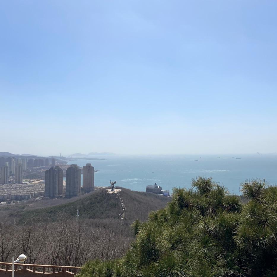 槐序深巷