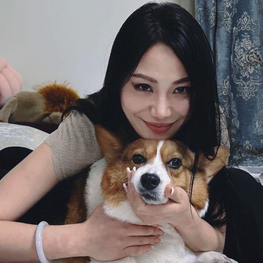 猪莉