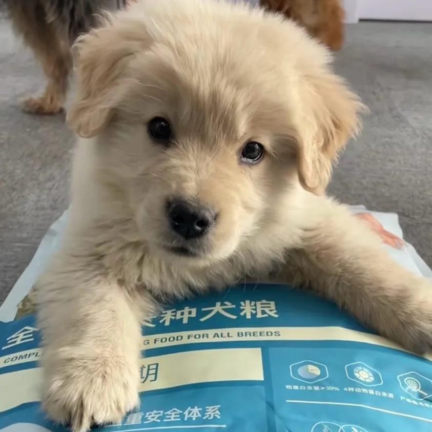 无机离子