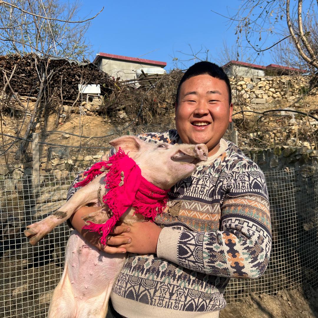 蒙山小张-熟食土猪