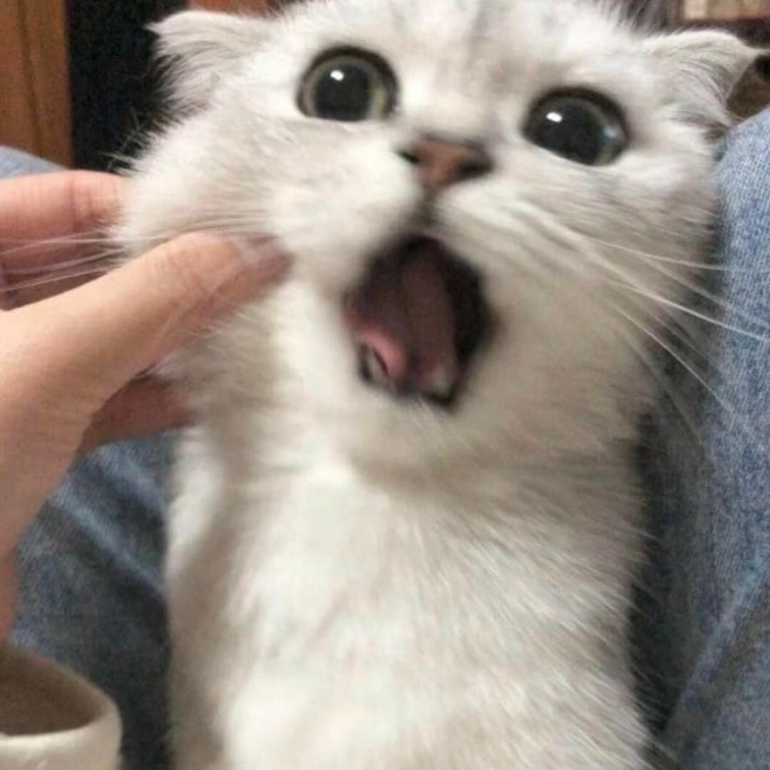 886.
