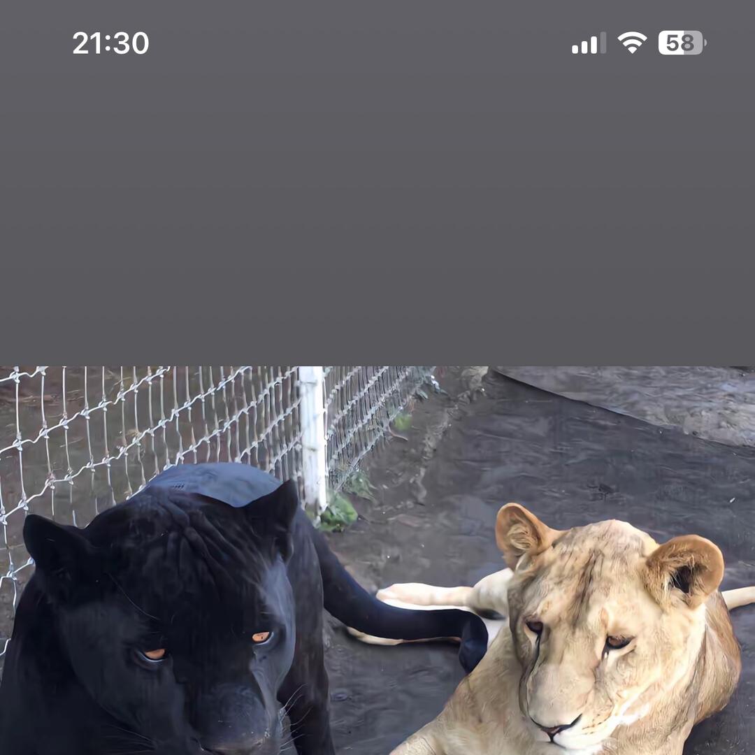 法版奢侈品云仓18