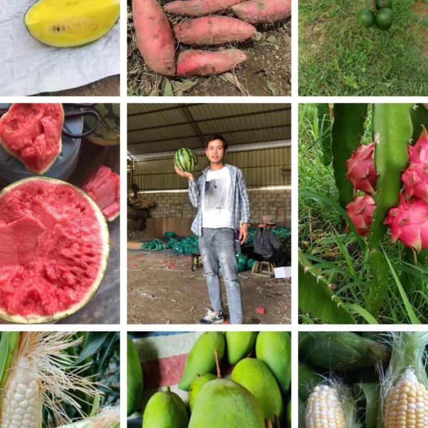 🍵卖水果的 小艾同学🔥