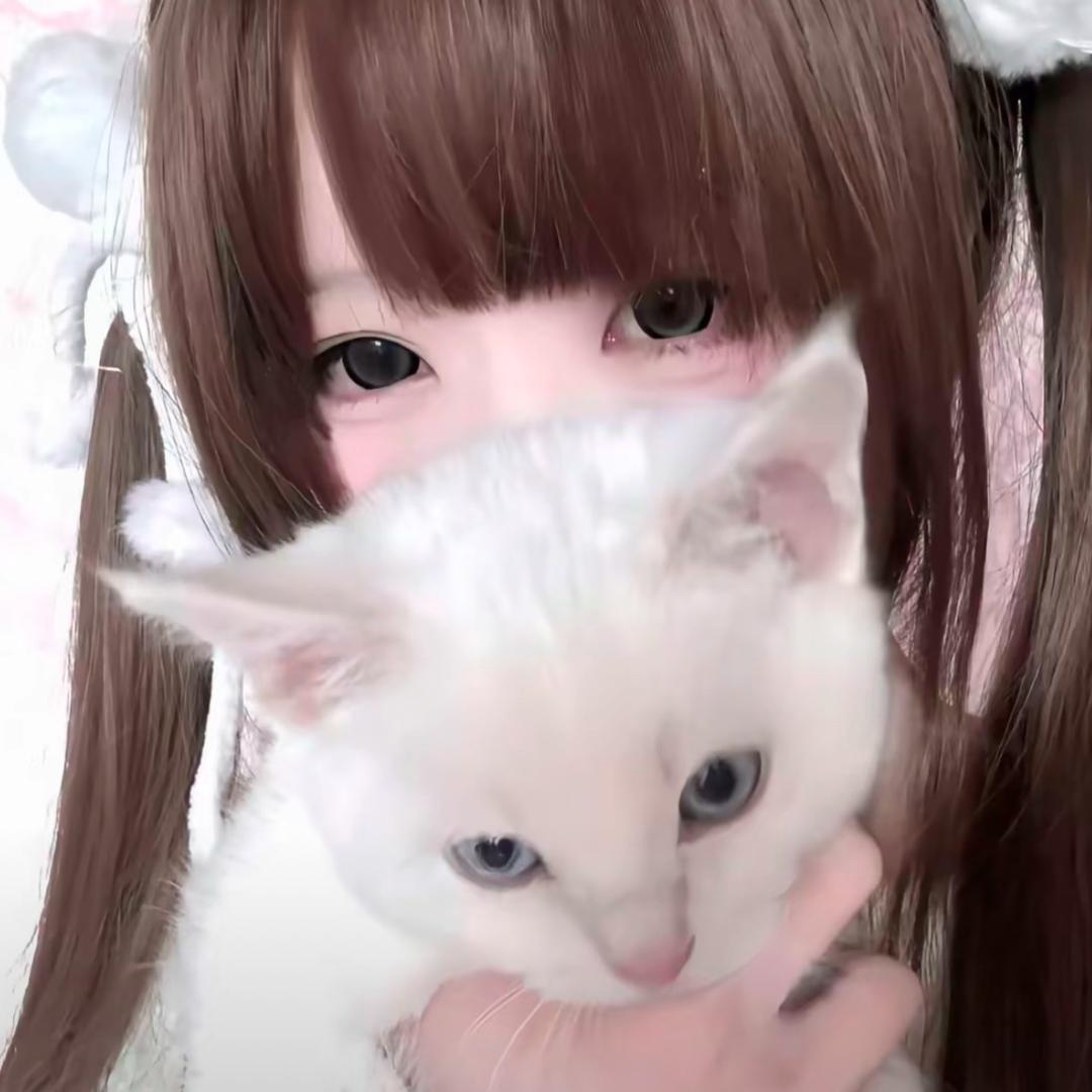 TeT吟