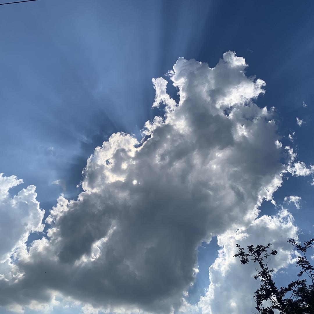 沈阳竹韵商贸有限公司