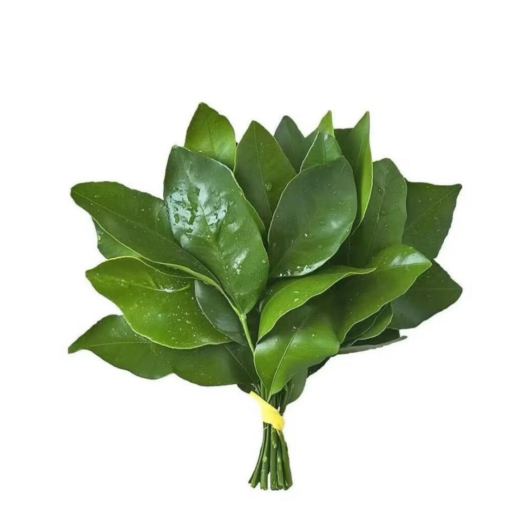 分手了还能做吗