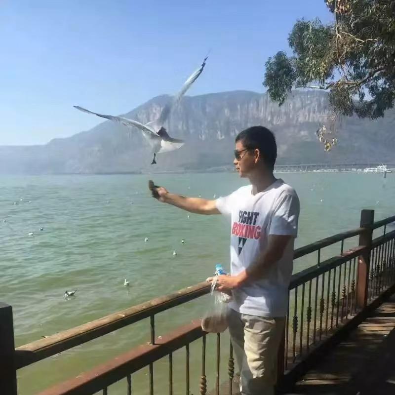 木南木＄