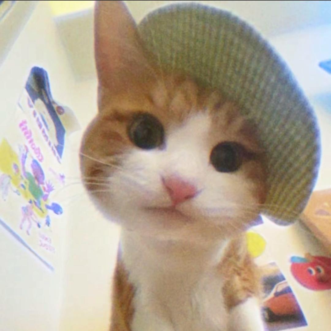 猪大肠爱吃唐老鸭