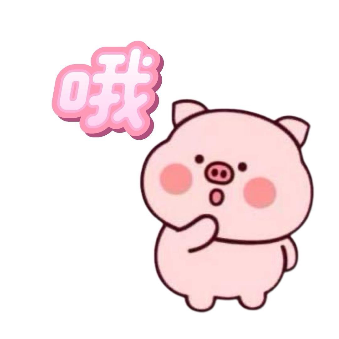 小猪要努力🫧