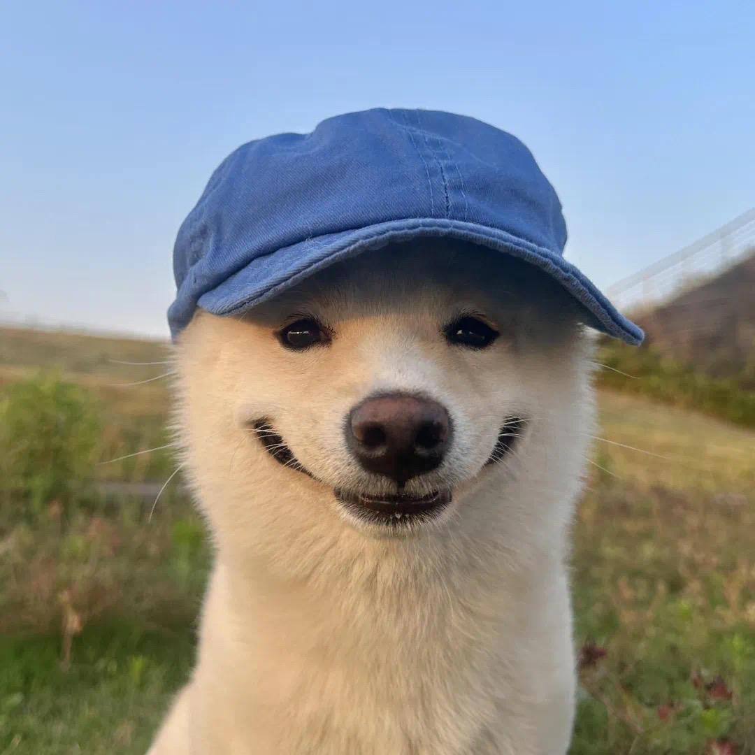 H.