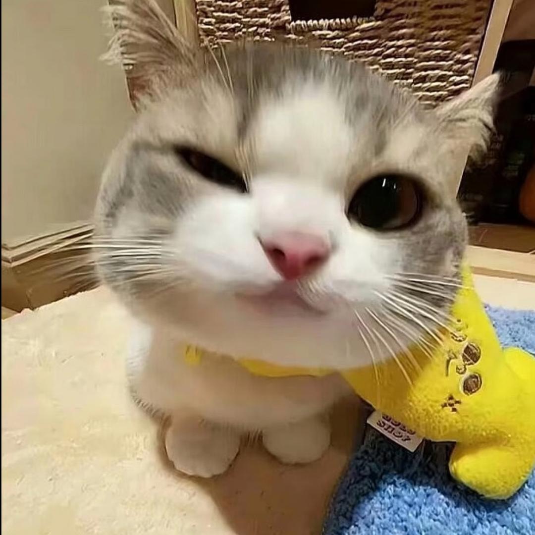 /7