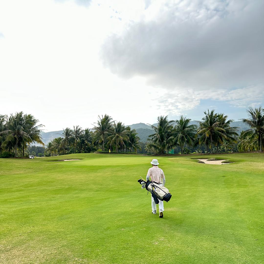 小石头🏌️