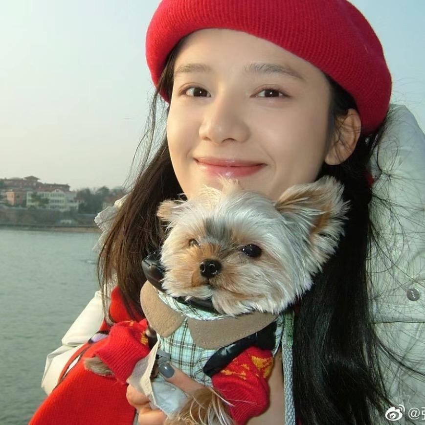 小羊咩咩🐑