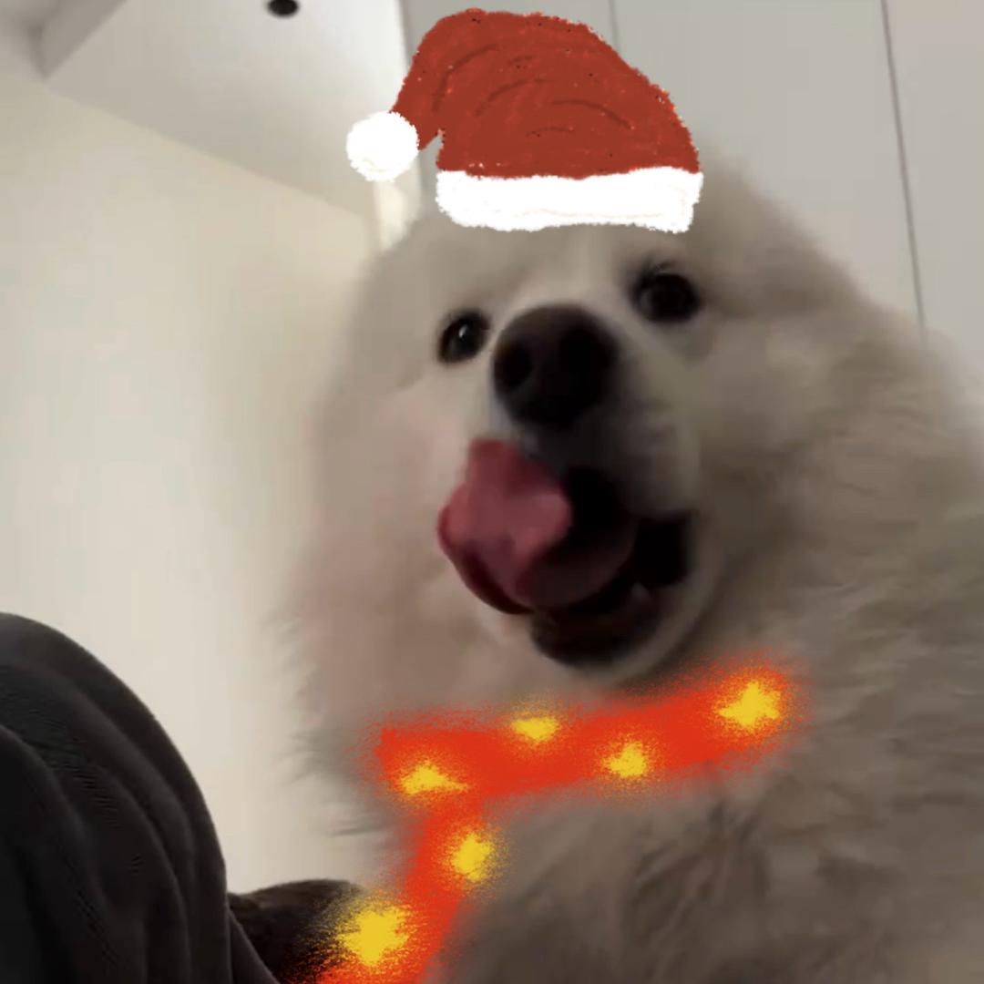 西红柿紫菜鸡蛋汤泡白米饭