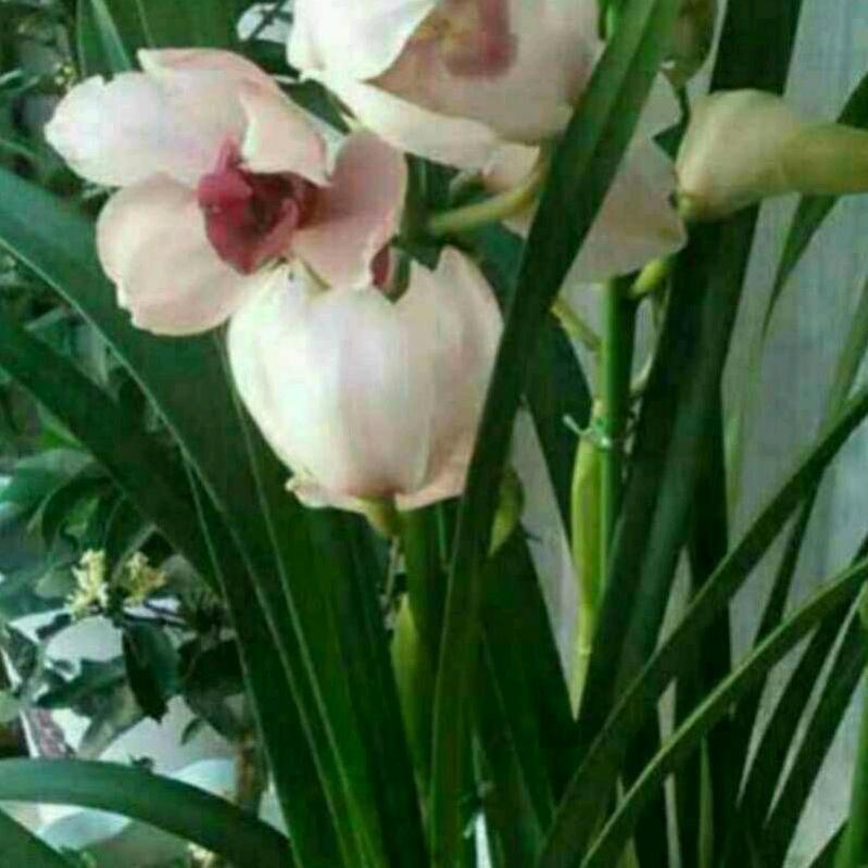 💕顺💕其💕自💕然💕