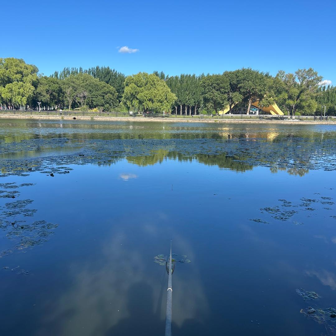 空军壹号🎣