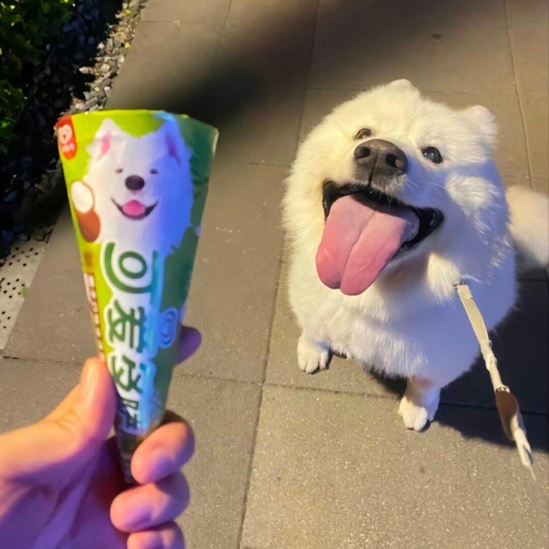 老婆是女同被我抓到之后发现点的是三