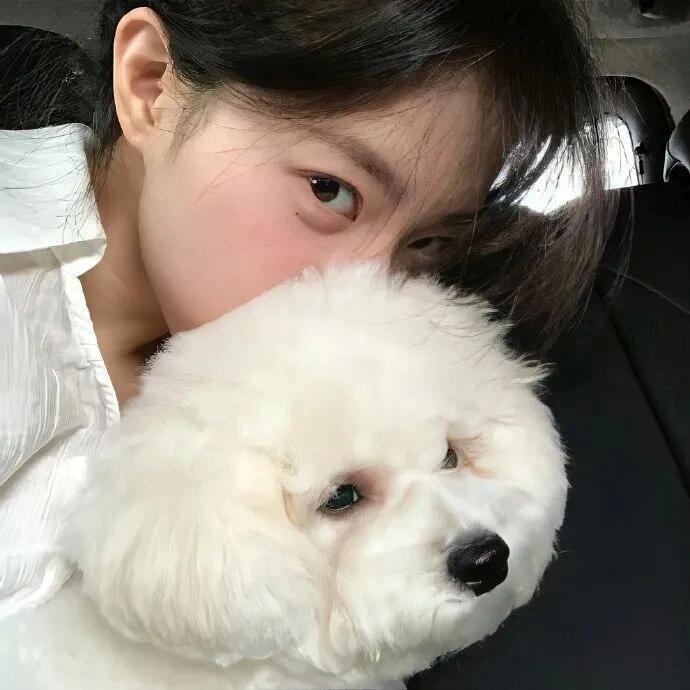 晕头小狗xox
