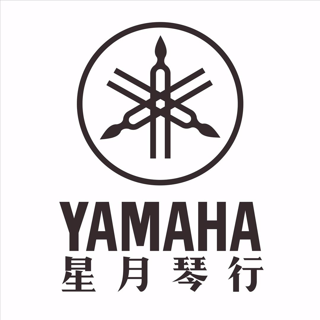 星月琴行