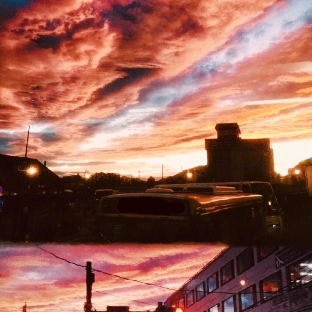蛇皮袋_Lee