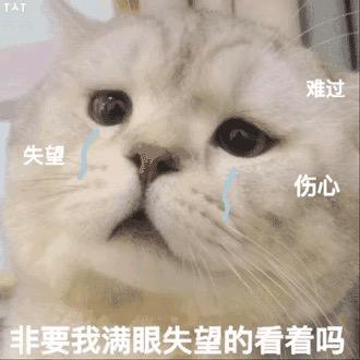 호호 아기