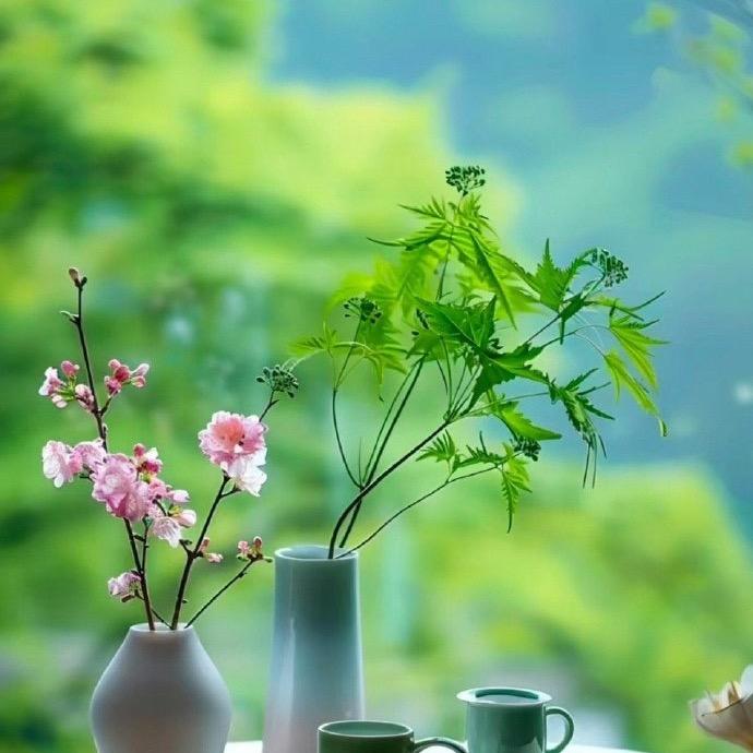 张老师你好