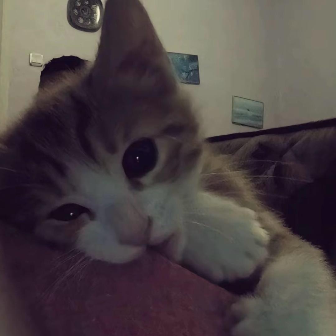 想💤