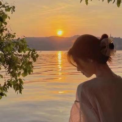 满意种子集
