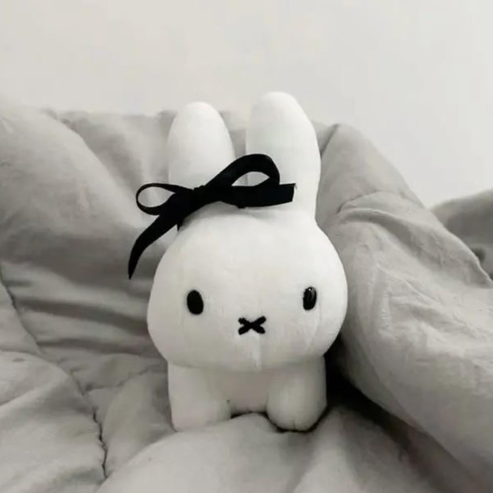 這次是真困了zzZ