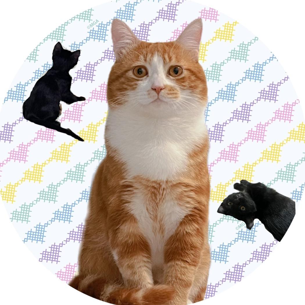 猪咪突突车🚜