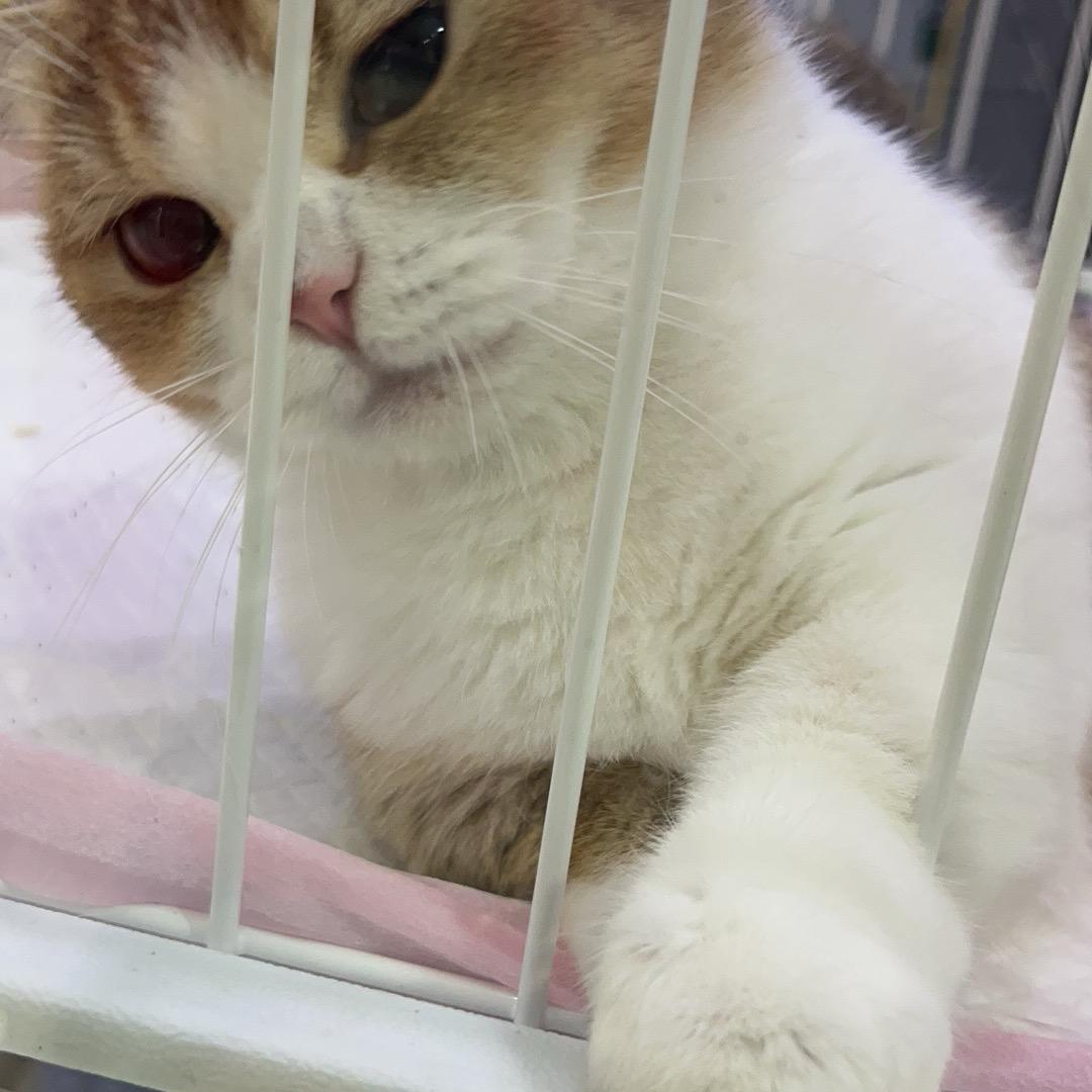 短视频
