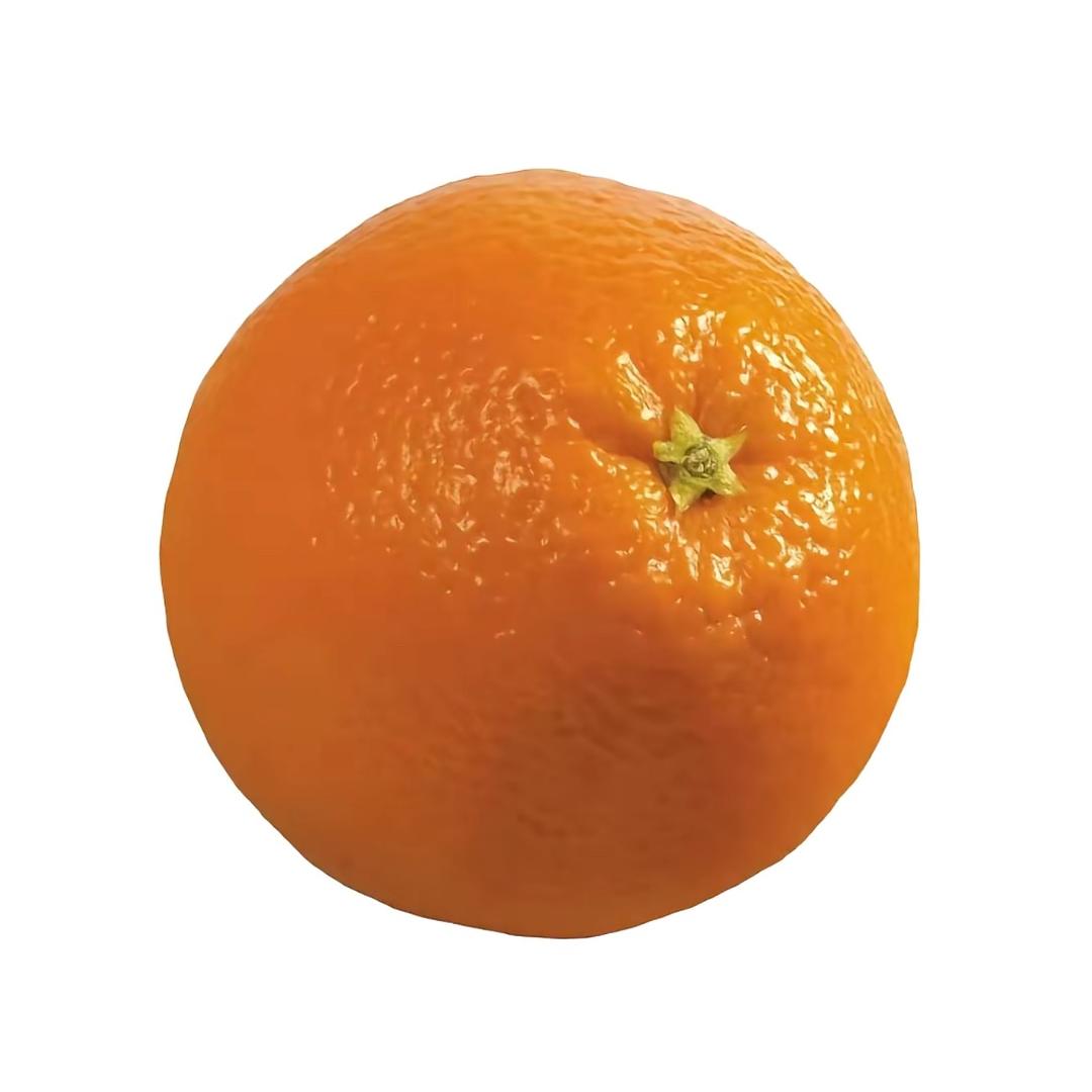 菜狗裹裹