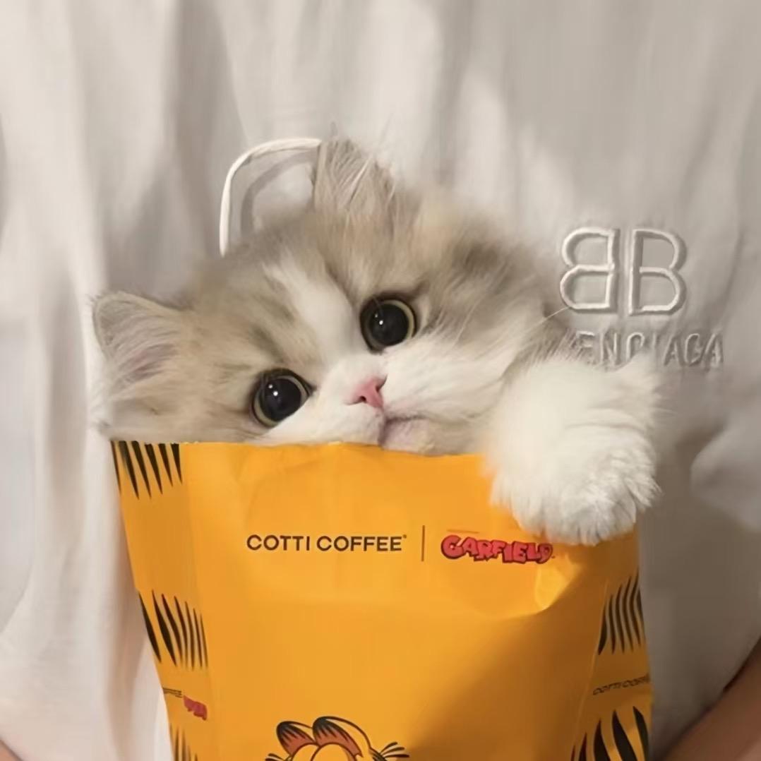 托马斯小火车🚂