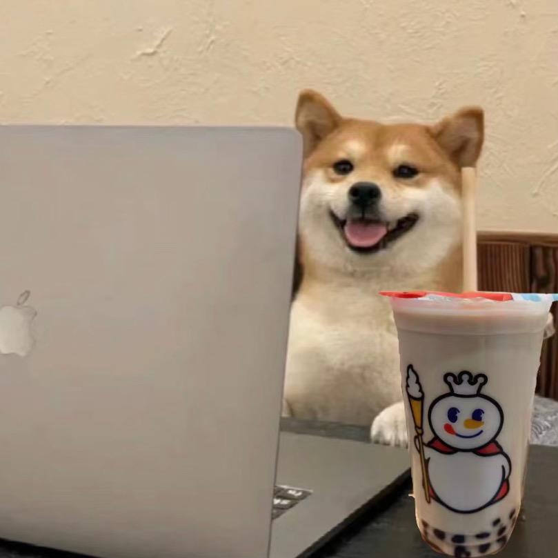 熊老板助理—熊孩子