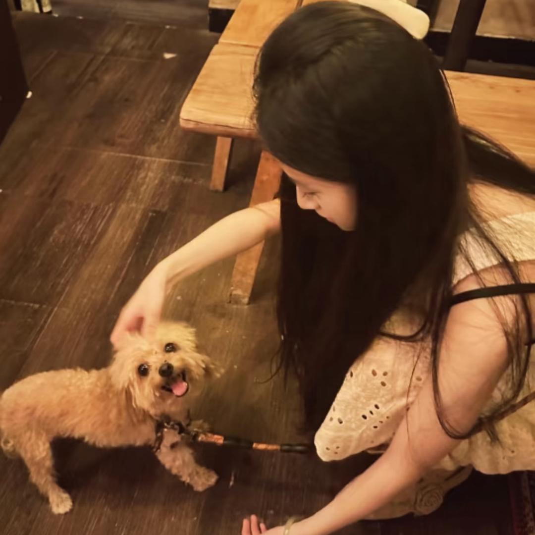 帅气薯条不蘸过期番茄酱