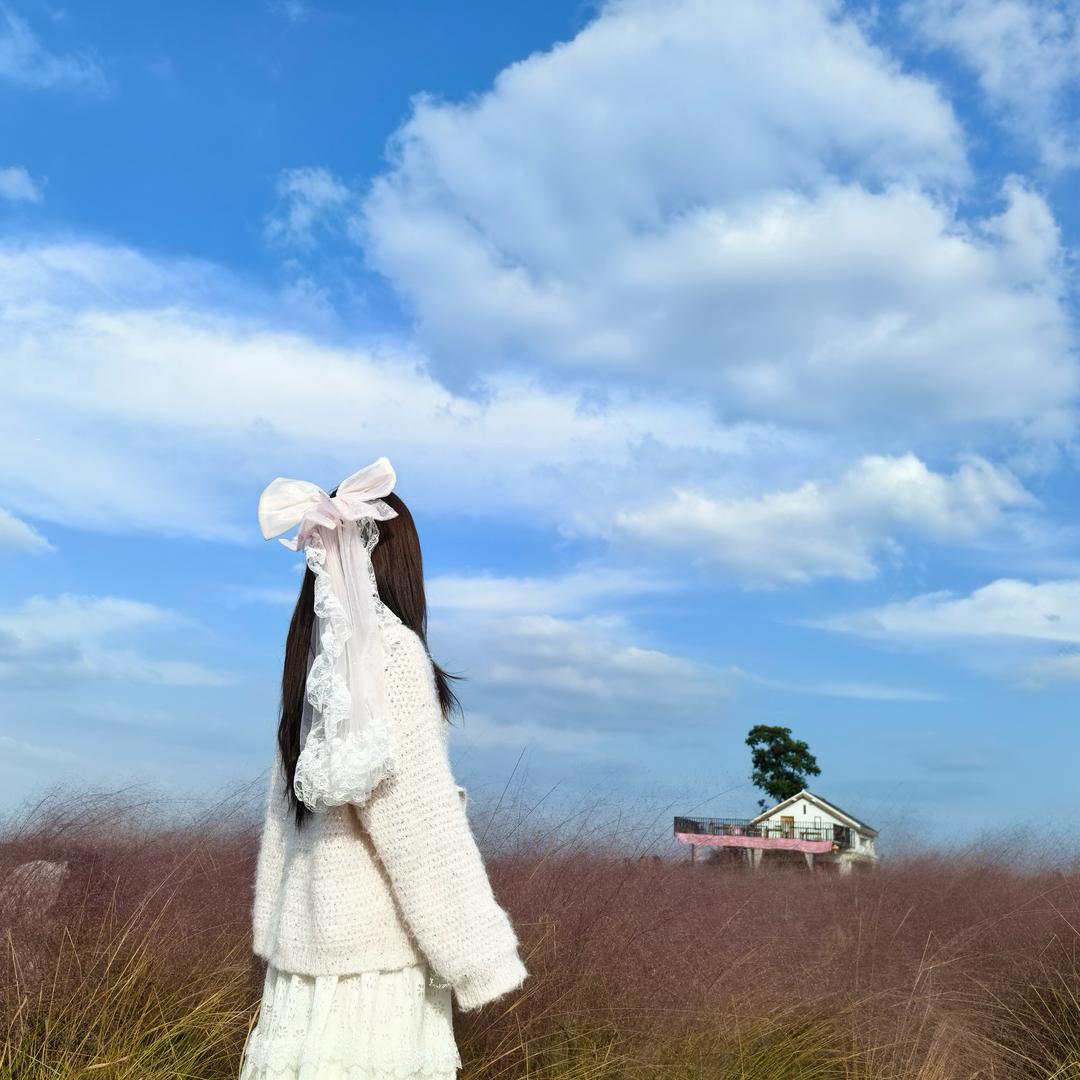 村长家的小花猪🌸