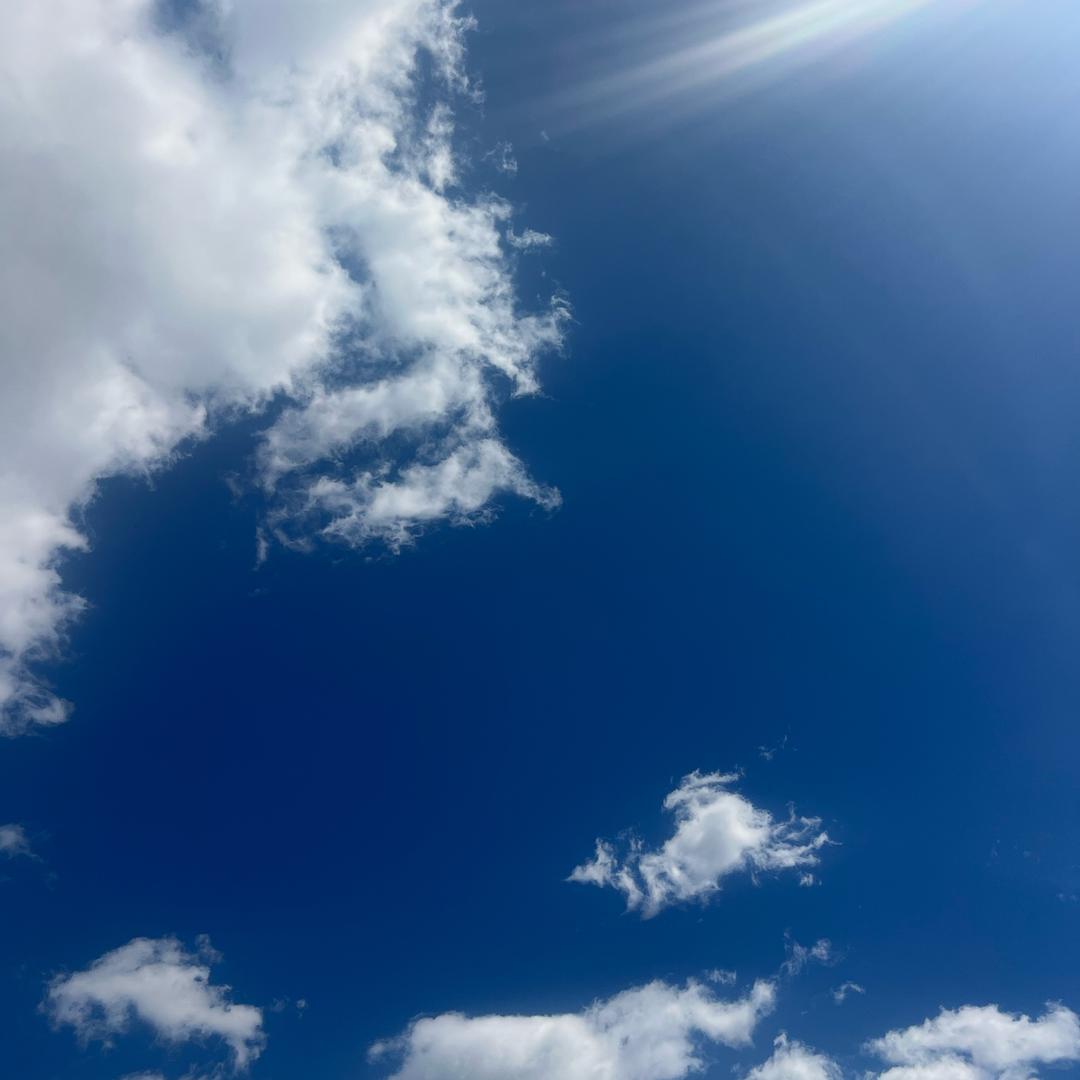 小张总阳光☀️生活
