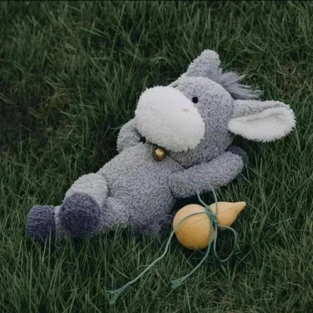 俊俊不爱吃鱼🐟