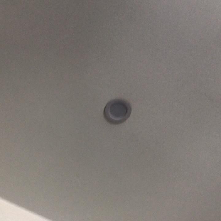 YOYO的日记