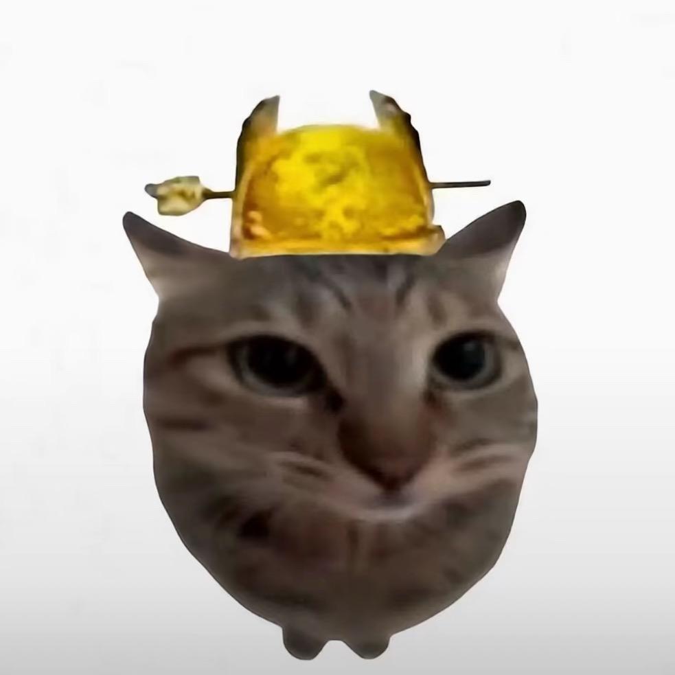 无数俊男靓女争着为我诞下一子