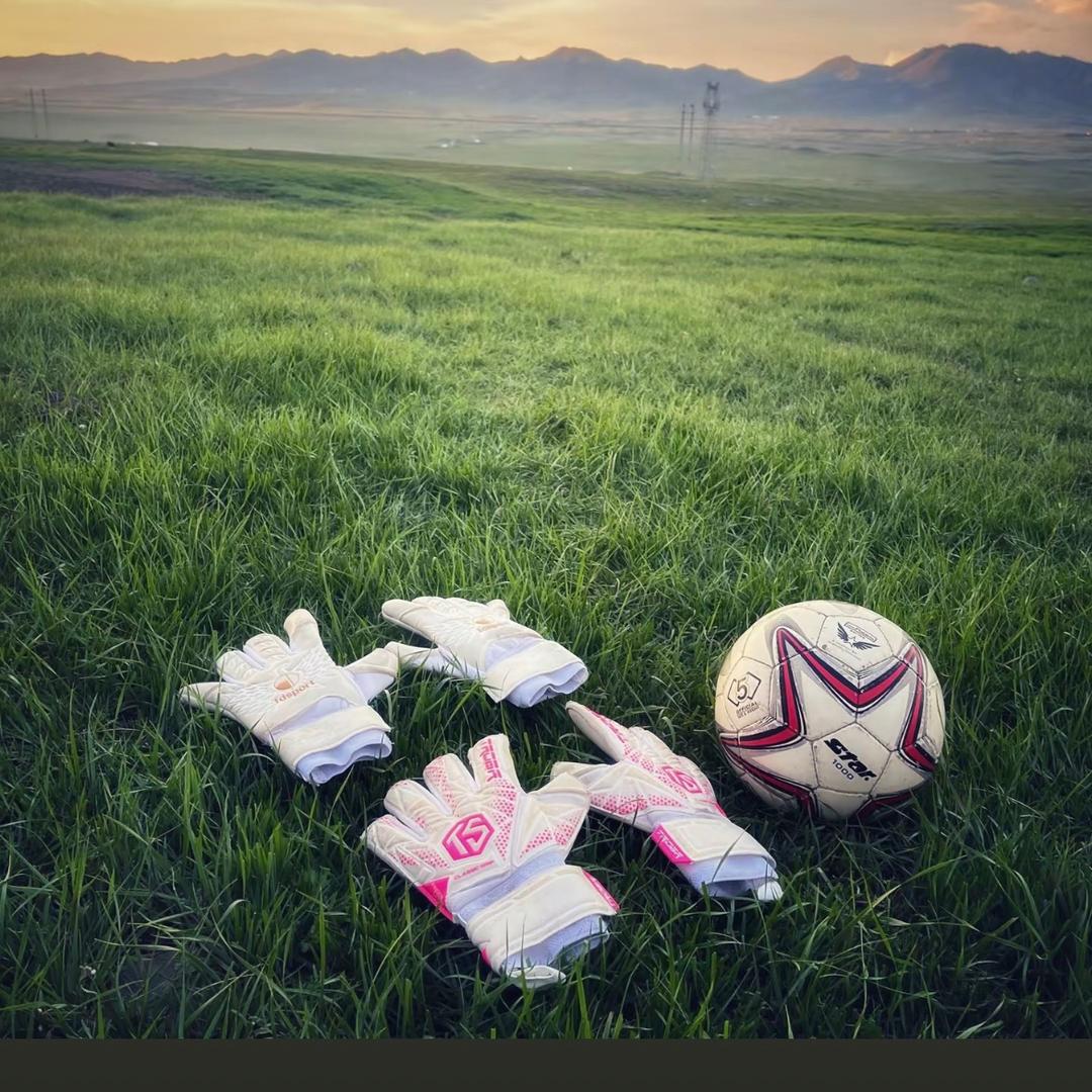 ནོར་།🗽🗽🗽