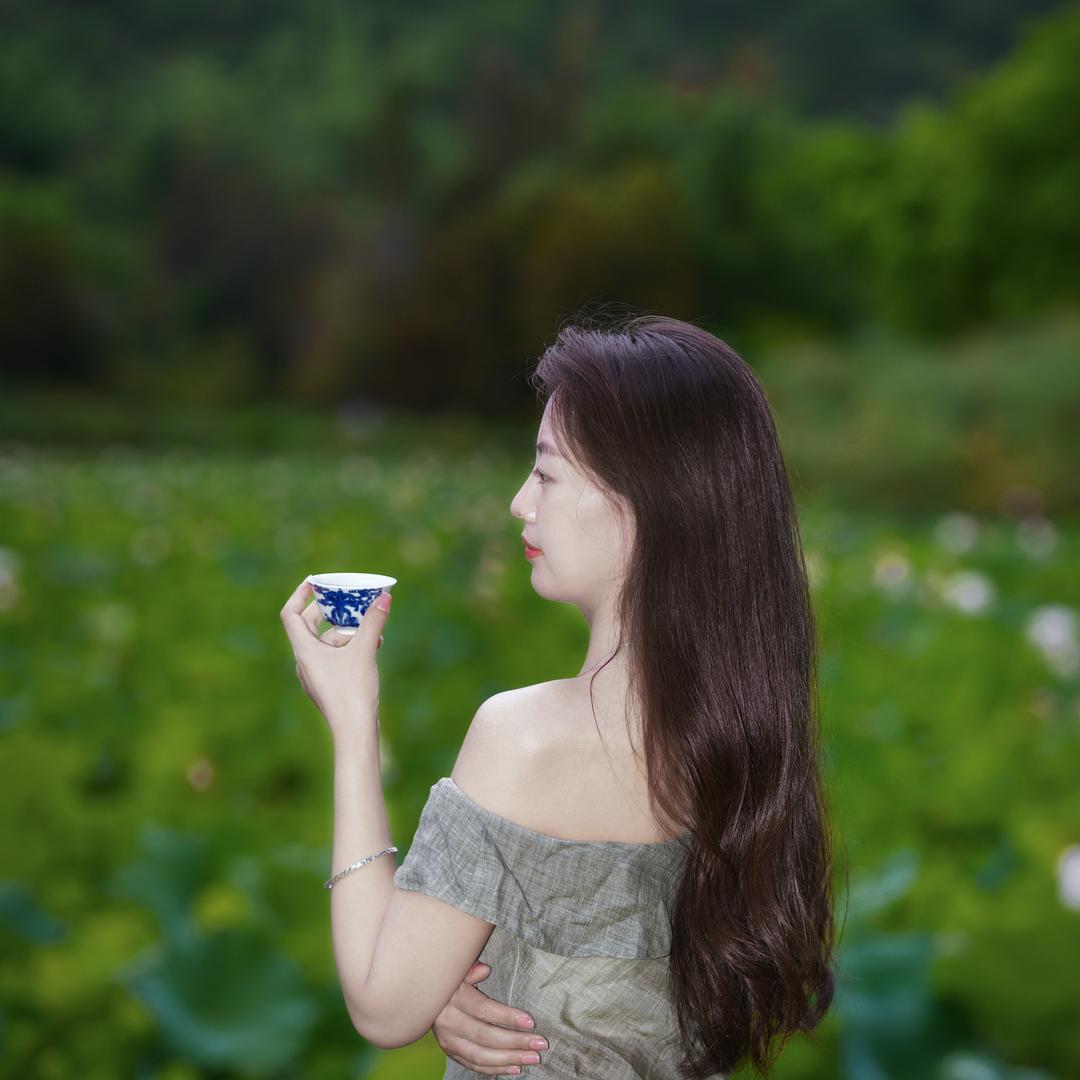 雲上普洱