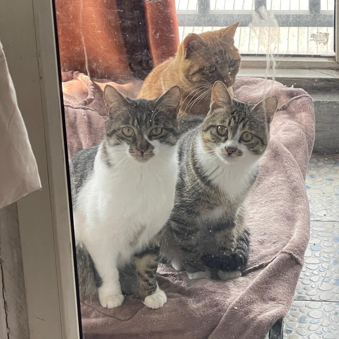 慢一点儿在慢一点儿